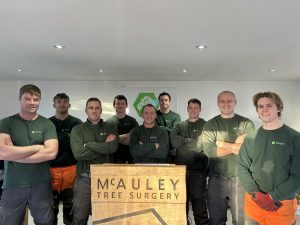 firewood for sale Coleraine