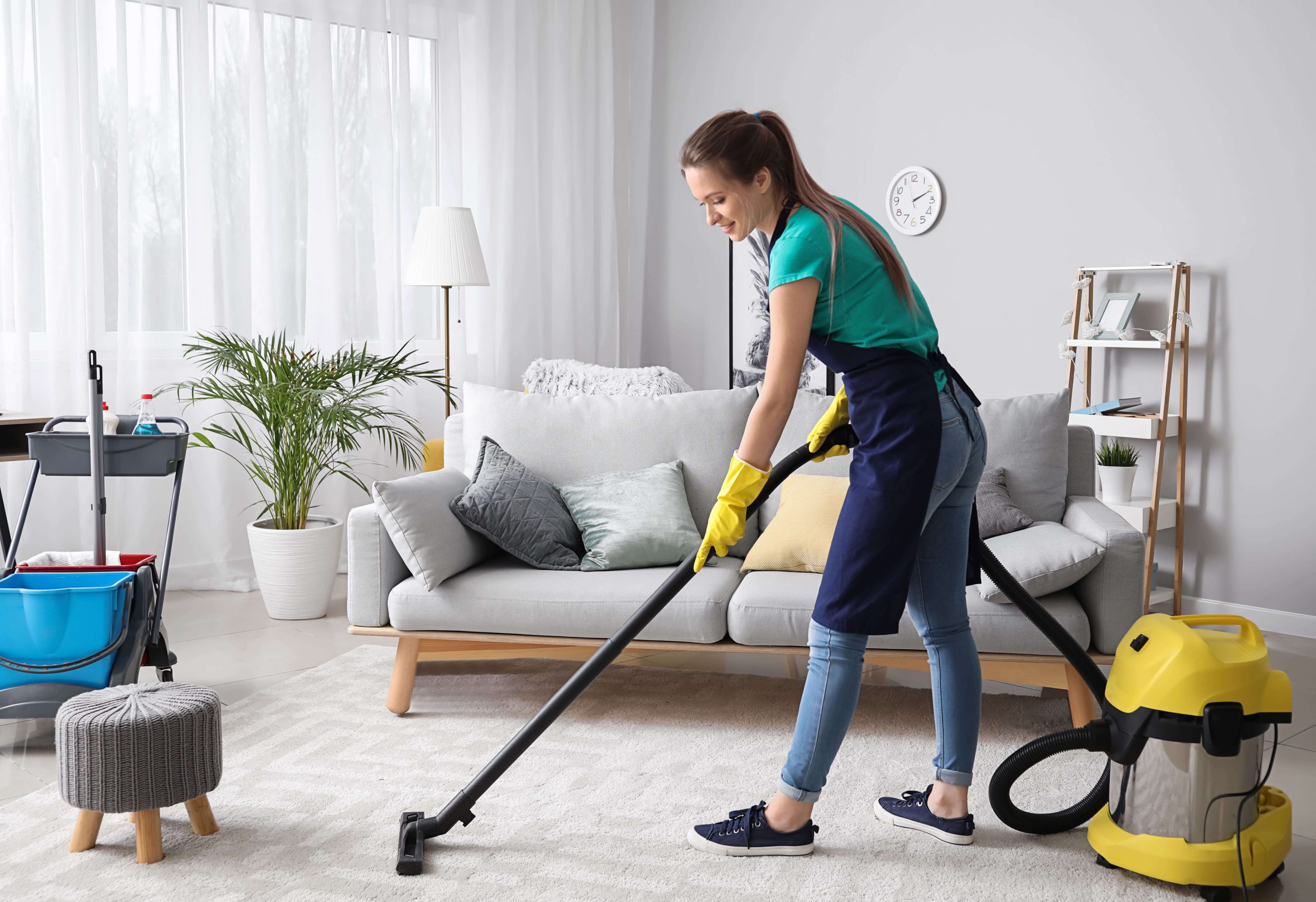 Professional Cleaning Services in Dublin