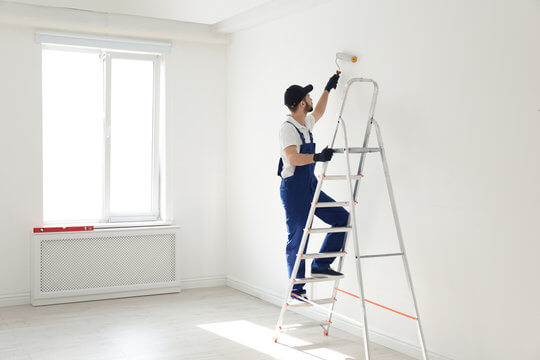 Professional Painting Services in Dublin