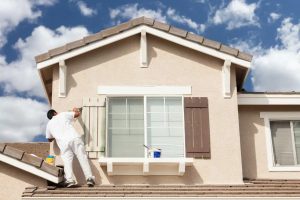 professional painters dublin