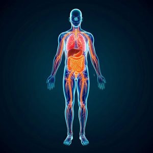 Doctor recommended PEMF system Waldorf MD